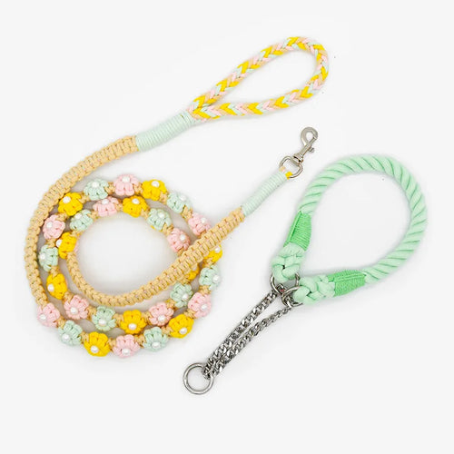 Handmade Braided Cotton Dog Leash with Floral Handle Durable Stylish weaving collar for Dogs Rainbow color pet leash with collar