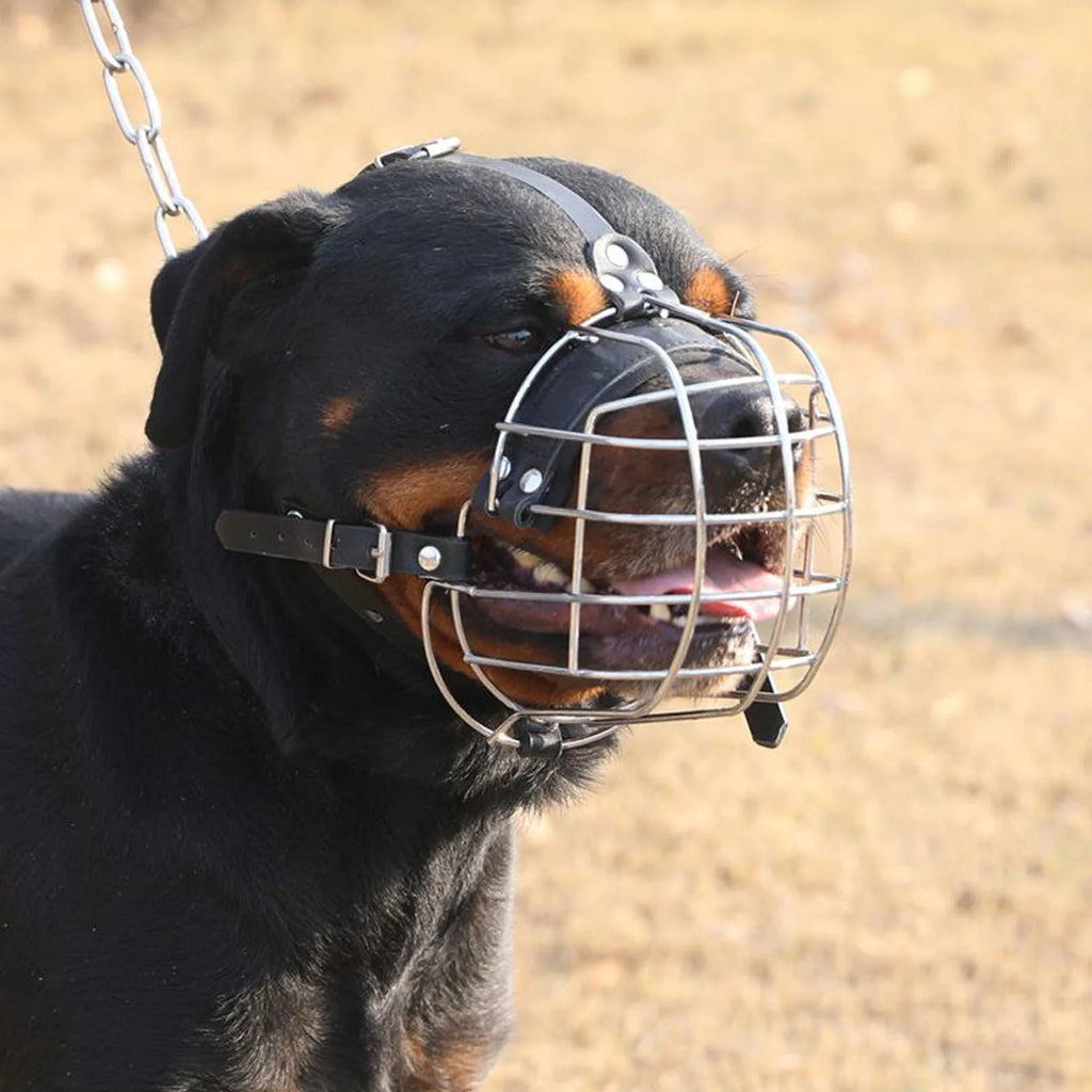 Dog Muzzles to Prevent Biting Metal Wire Dog Mouth Guard with PU Leather Strap Breathable Cage Muzzle for Medium Large Sized Pet